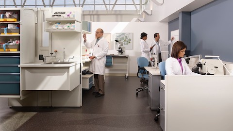 Four technicians work in a healthcare laboratory.